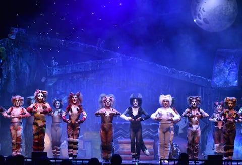 Cats toma la noche de Torreón y los Jélicos maúllan