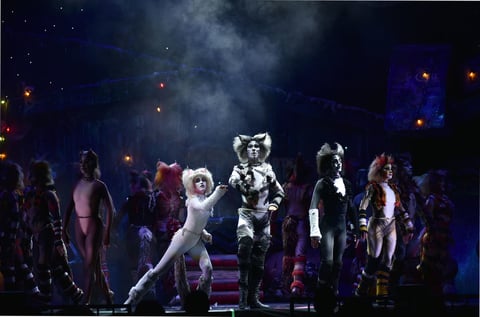Cats toma la noche de Torreón y los Jélicos maúllan
