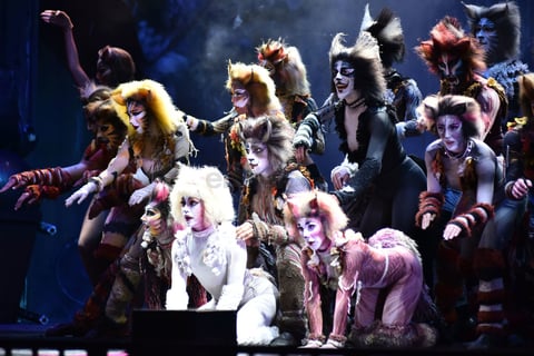 Cats toma la noche de Torreón y los Jélicos maúllan
