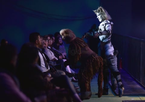 Cats toma la noche de Torreón y los Jélicos maúllan