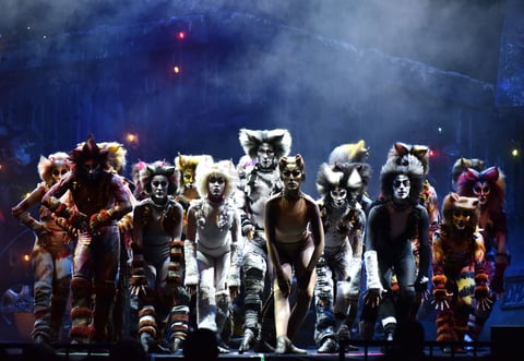 Cats toma la noche de Torreón y los Jélicos maúllan