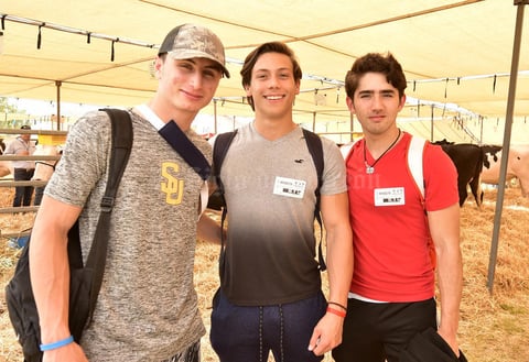20032019 Mario, Arturo y Mario.