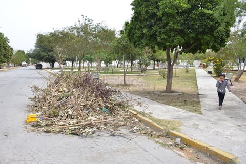 En los alrededores de la plaza de la colonia Villa Florida, es común encontrar ramas apiladas que son retiradas de los propios árboles, pero que se quedan abandonadas a mitad de la carretera. El viento las lleva hasta las casas de la colonia.