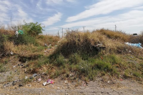 Olores fétidos. En temporada de calor, como la que está por iniciar, los olores fétidos son un problema de salud para los habitantes, ya que no pueden disfrutar de sus alimentos y tienen que poner cal en los animales muertos.