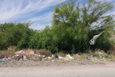 Temen vecinos. Los vecinos que viven a espaldas de la vialidad temen por la proliferación de fauna nociva, ya que han visto topos, ratas, ratones, liebres, víboras, arañas y alacranes.
