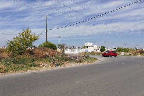 Dan vuelta a 'ciegas'. En algunas partes, la maleza sobrepasa los dos metros de altura, lo que impide a lo conductores tener visibilidad al momento de cruzar la vialidad, lo que ha originado un gran número de accidentes.