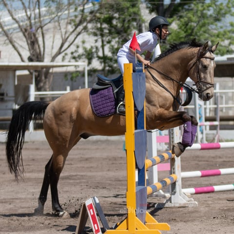 Tercer Concurso de Salto Ecuestre 2019, organizado por la Asociación Ecuestre de La Laguna y celebrado en el Club Hípico La Cabaña, en Gómez Palacio Durango