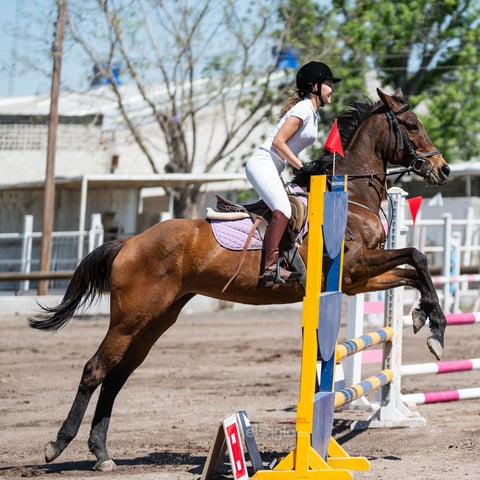 Tercer Concurso de Salto Ecuestre 2019, organizado por la Asociación Ecuestre de La Laguna y celebrado en el Club Hípico La Cabaña, en Gómez Palacio Durango