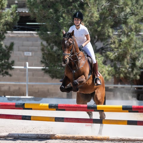 Tercer Concurso de Salto Ecuestre 2019, organizado por la Asociación Ecuestre de La Laguna y celebrado en el Club Hípico La Cabaña, en Gómez Palacio Durango