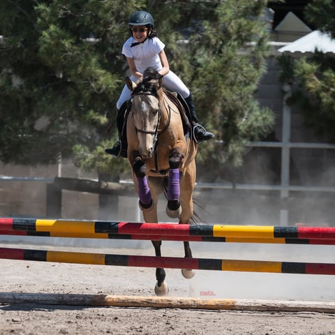 Tercer Concurso de Salto Ecuestre 2019, organizado por la Asociación Ecuestre de La Laguna y celebrado en el Club Hípico La Cabaña, en Gómez Palacio Durango