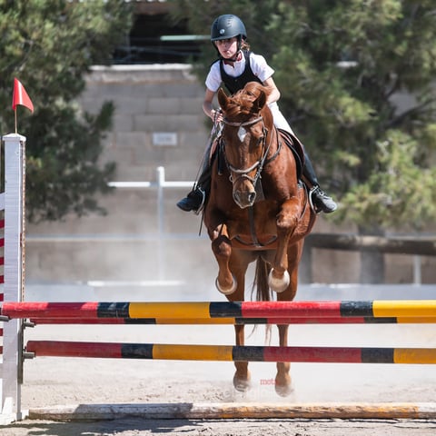 Tercer Concurso de Salto Ecuestre 2019, organizado por la Asociación Ecuestre de La Laguna y celebrado en el Club Hípico La Cabaña, en Gómez Palacio Durango