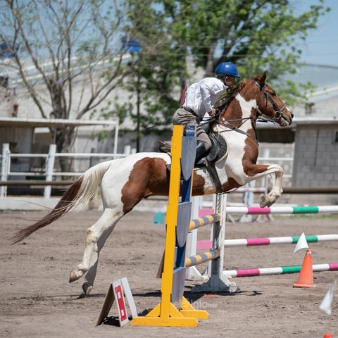 Tercer Concurso de Salto Ecuestre 2019, organizado por la Asociación Ecuestre de La Laguna y celebrado en el Club Hípico La Cabaña, en Gómez Palacio Durango