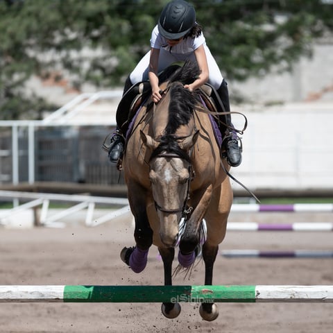 Tercer Concurso de Salto Ecuestre 2019, organizado por la Asociación Ecuestre de La Laguna y celebrado en el Club Hípico La Cabaña, en Gómez Palacio Durango