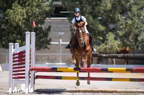 Tercer Concurso de Salto Ecuestre 2019, organizado por la Asociación Ecuestre de La Laguna y celebrado en el Club Hípico La Cabaña, en Gómez Palacio Durango