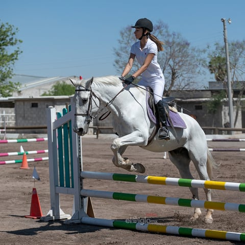 Tercer Concurso de Salto Ecuestre 2019, organizado por la Asociación Ecuestre de La Laguna y celebrado en el Club Hípico La Cabaña, en Gómez Palacio Durango