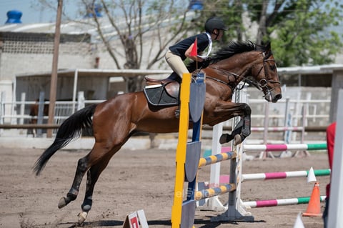 Tercer Concurso de Salto Ecuestre 2019, organizado por la Asociación Ecuestre de La Laguna y celebrado en el Club Hípico La Cabaña, en Gómez Palacio Durango