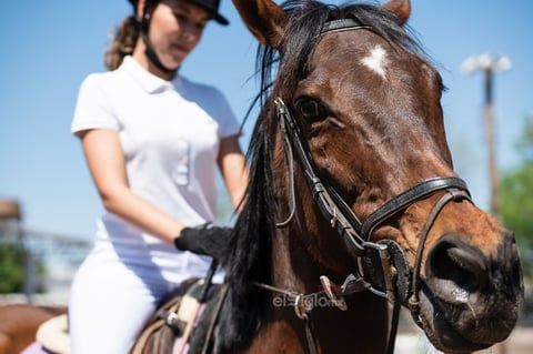 Tercer Concurso de Salto Ecuestre 2019, organizado por la Asociación Ecuestre de La Laguna y celebrado en el Club Hípico La Cabaña, en Gómez Palacio Durango