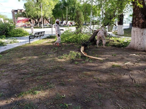 Una fuerte tormenta que azotó a la región norte de Coahuila durante la madrugada de este domingo.