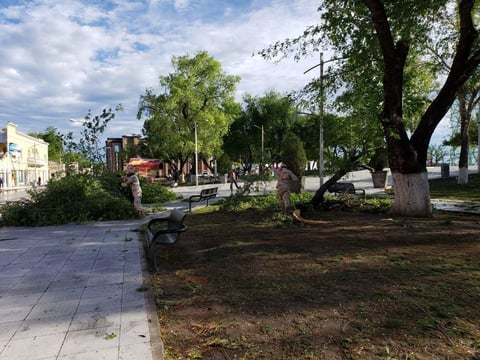 Dejó a su pasó una gran cantidad de árboles, ramas, bardas y cables caídos, debido a la presencia de vientos huracanados.