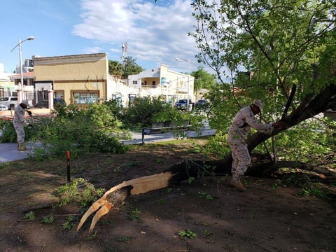 En el caso del municipio de Piedras Negras, durante las primeras horas de este domingo, también se reportaron fallas en el suministro de energía eléctrica.