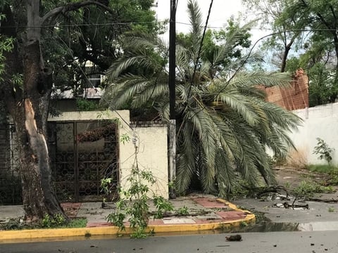 Los vientos y la lluvia generaron la caída de la barda frontal de un conjunto de consultorios dentales.