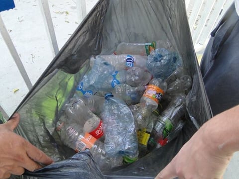 En el total de bolsas se contaron cinco de pet.