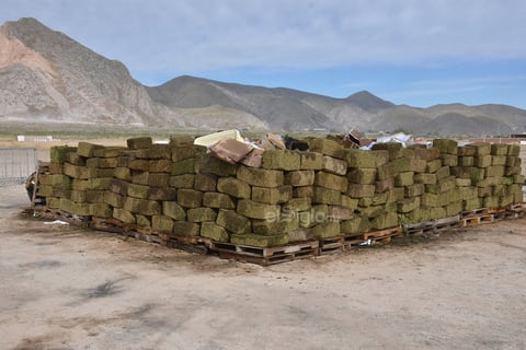 En total se incineraron más de 10.7 toneladas de marihuana, 24.5 kilogramos de metanfetaminas.