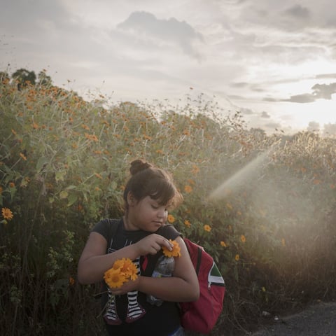 Niña recogiendo flores durante el día de una caminata de 50 kilómetros de la caravana migrante entre Tapanatepec y Niltepec, por Pieter Ten Hoopen