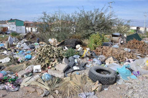 Se colectan en promedio 530 toneladas de basura por día y se estima que 1.51% son podas y residuos vegetales que pudieran ser transformadas en composta, pero no existen programas encaminados a ello.