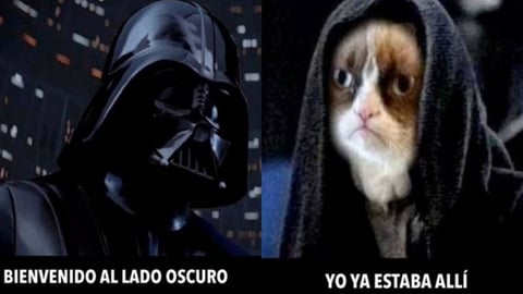 Muere Grumpy, el famoso gato de los memes