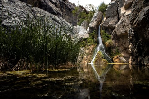 Cataratas Darwin, que suponen el origen de un gran ecosistema y un oasis de vida en el Valle de la Muerte.