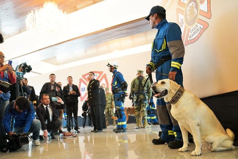 La perrita se ganó el cariño y el reconocimiento de miles de mexicanos.