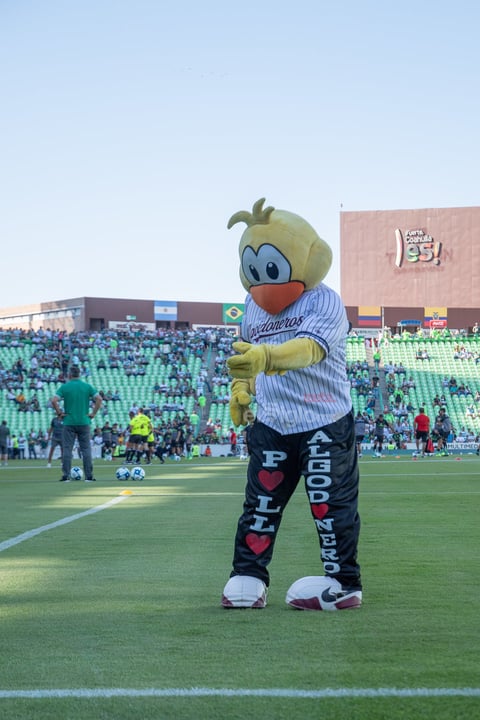 El pollo