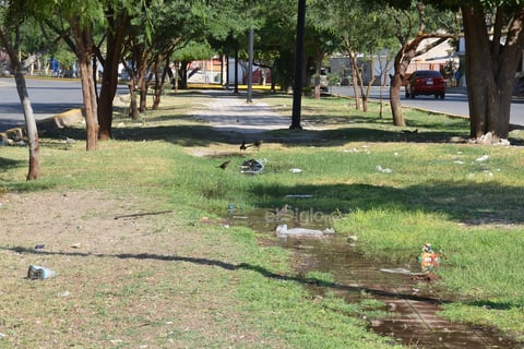 Infecciones. Dada la acumulación de residuos, en conjunto con agua que dura días estancada, algunos vecinos temen por el brote de posibles infecciones, así como de roedores y otros insectos, los cuales pueden habitar sin problemas en el césped.