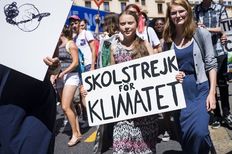 Atendieron la convocatoria de la activista Greta Thunberg.