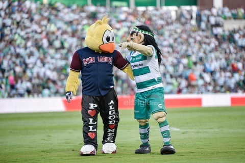El pollo y el guerrero