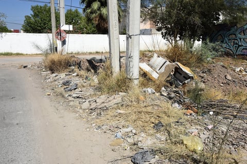 Son principalmente sillones ya en muy malas condiciones los que también forman parte del panorama de los terrenos baldíos, donde cualquiera tira lo que desea.
