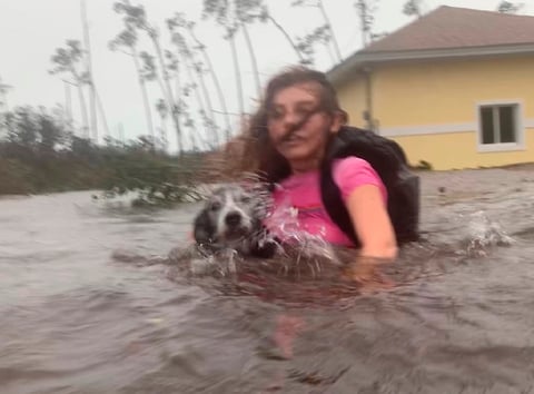 La zona quedó devastada.