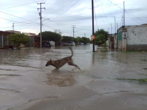 Lluvias causan encharcamientos al suroriente de la ciudad.