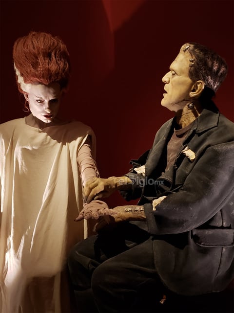 Junto con la mandrágora del Laberinto del Fauno está la prótesis que usó Marisa Paredes en El espinazo del diablo y especímenes de laboratorio.