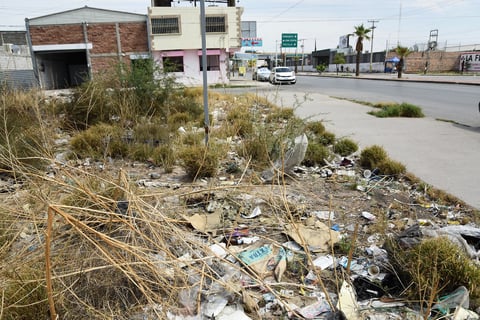 Abandono. Sobre el bulevar Francisco Sarabia son varios los terrenos en estado de abandono que generan problemas a los vecinos.