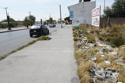 Olvidados. Mientras se anuncia la renta o venta de algunos terrenos, estos se dejaron en el pasado para actualmente tan solo acumular basura.