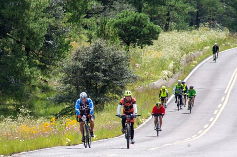 Grupos según su cadencia, ritmo de pedaleo y decisión.