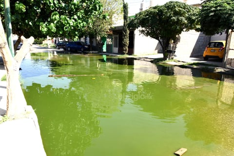 Lagunas verdes. Los habitantes de Monte Real ya están cansados de reportar al Simas las condiciones en las que viven, soportando las lagunas de agua verde y pestilente a las afueras de sus casas, además temen por su salud y la de sus pequeños.