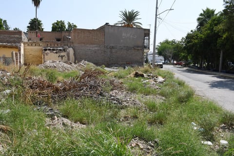 Sin atención. En la colonia hay hierba crecida no solo en el camellón, sino en los terrenos deshabitados, los cuales ante la falta de iluminación son utilizados como punto de reunión de algunas personas para embriagarse o para situaciones ilícitas.
