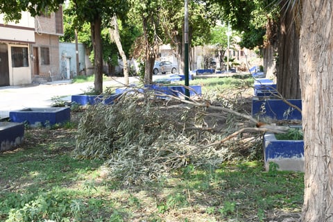 Descuido. El área abarca alrededor de 3 cuadras, está totalmente descuidada y es el único espacio que tienen los vecinos para caminar, por lo que insisten en que es urgente que el Municipio intervenga.