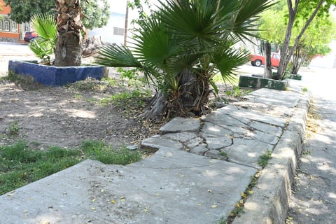 Daños. No solo es la acumulación de basura, la banqueta también registra daño, que demuestra el abandono en el que está el espacio público y pese a que se ha solicitado el mejoramiento no ha habido respuesta.