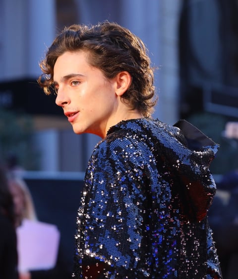 Timothee Chalamet es el protagonista de la producción de Netflix 
