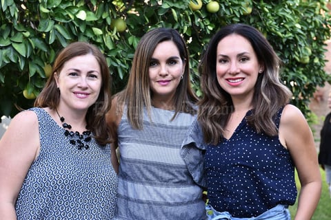 07102019 Jardineras en sesión