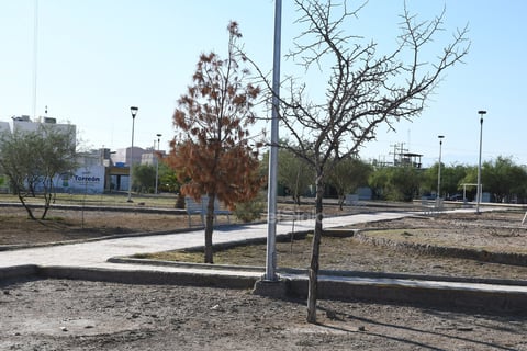 Áreas verdes